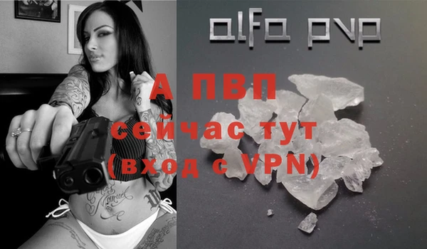 скорость Бородино
